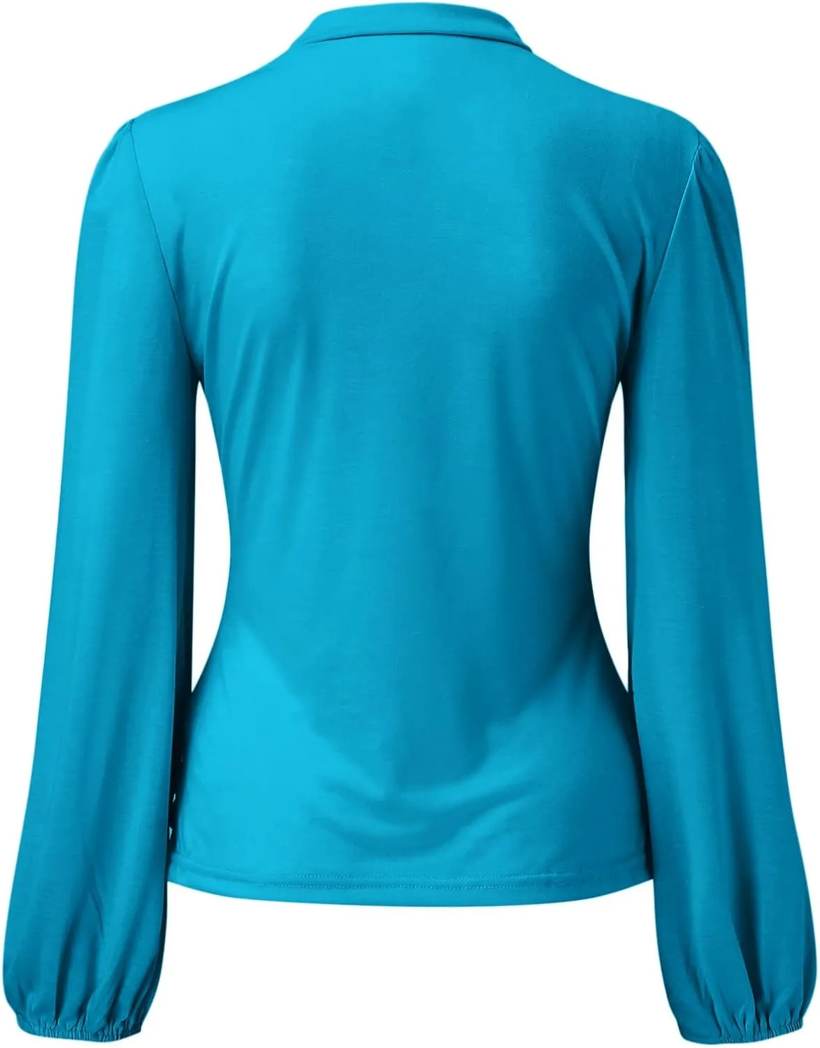 Women's Dressy T Shirts Elegant Turtleneck Ruffle Trim Long Sleeve Petite Tunics Daily Fashion Business Work Blouse